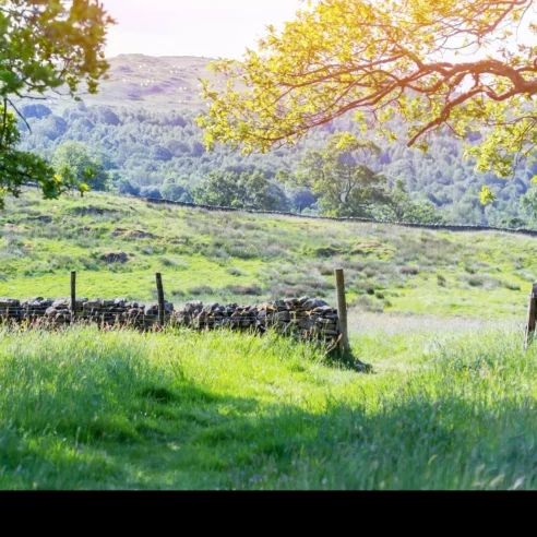 Family strolls along sunlit path in serene countryside, lush trees and rolling hills surround.