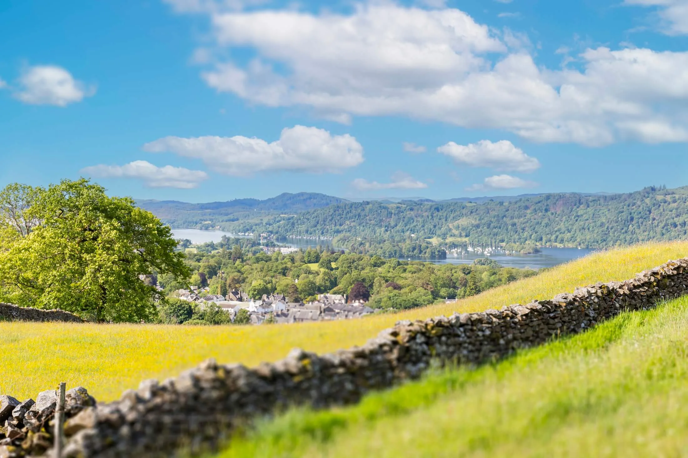 Featured image for the article: Elysium Windermere
