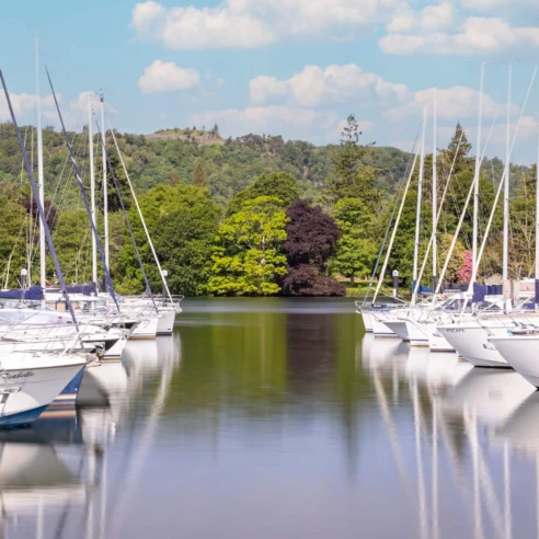 Family enjoying a serene lakeside view with moored sailboats under a clear blue sky.