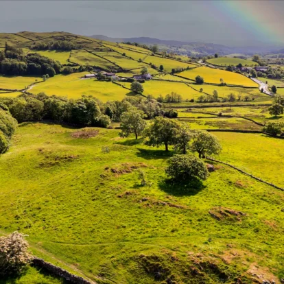 Rolling green hills with a rainbow and stone fences in a serene countryside setting.