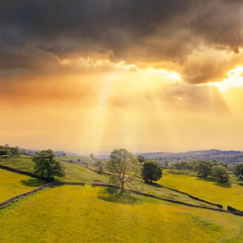 Serene countryside under golden sunset with lush fields and stone fences.
