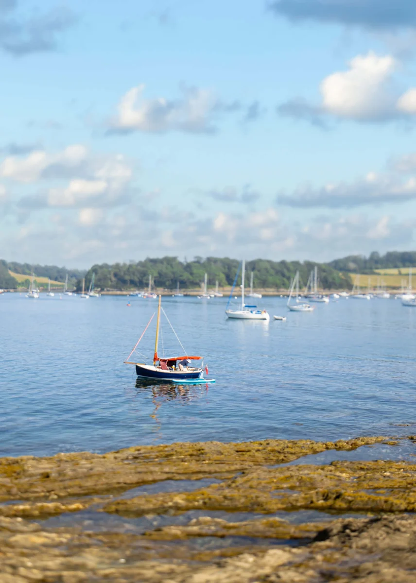 Family sailing a small boat on a calm coastal harbour with anchored yachts and rolling green shoreline