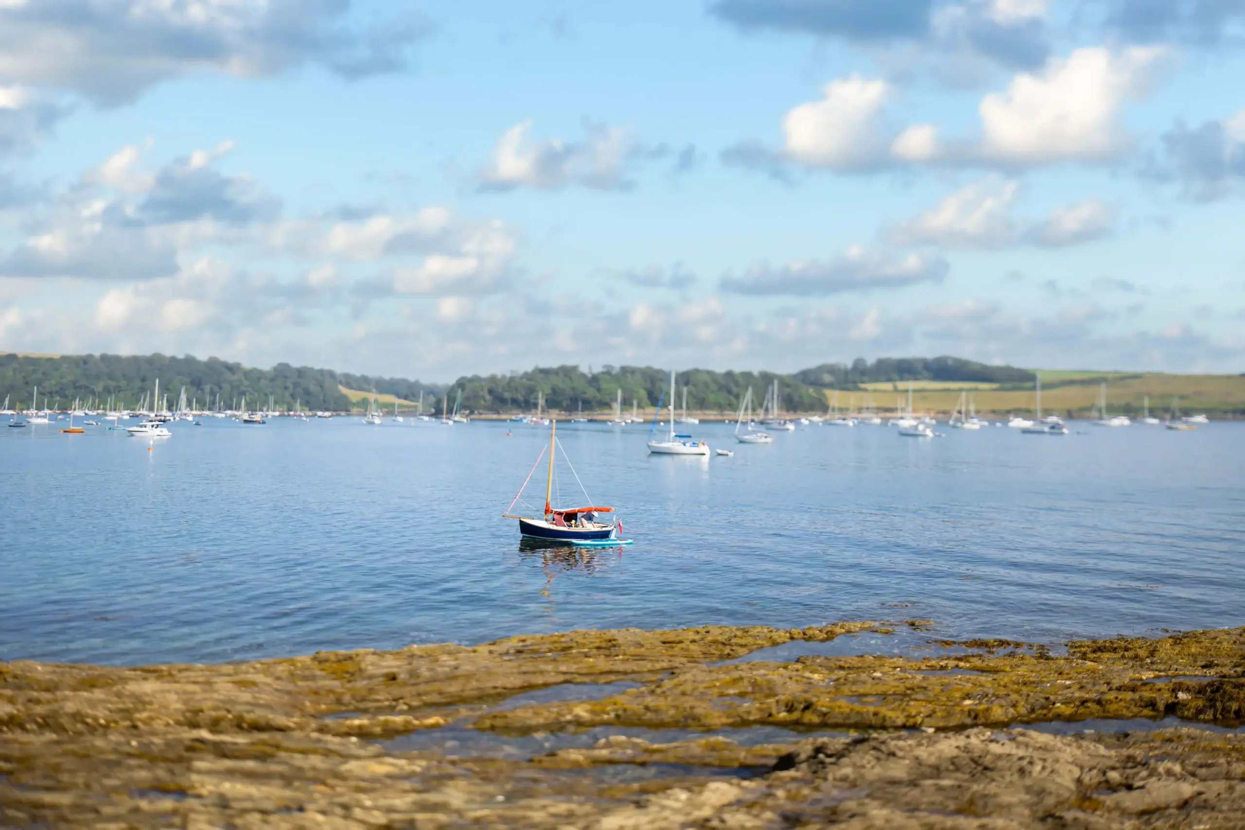 Featured image for the article: Competition Selsdon