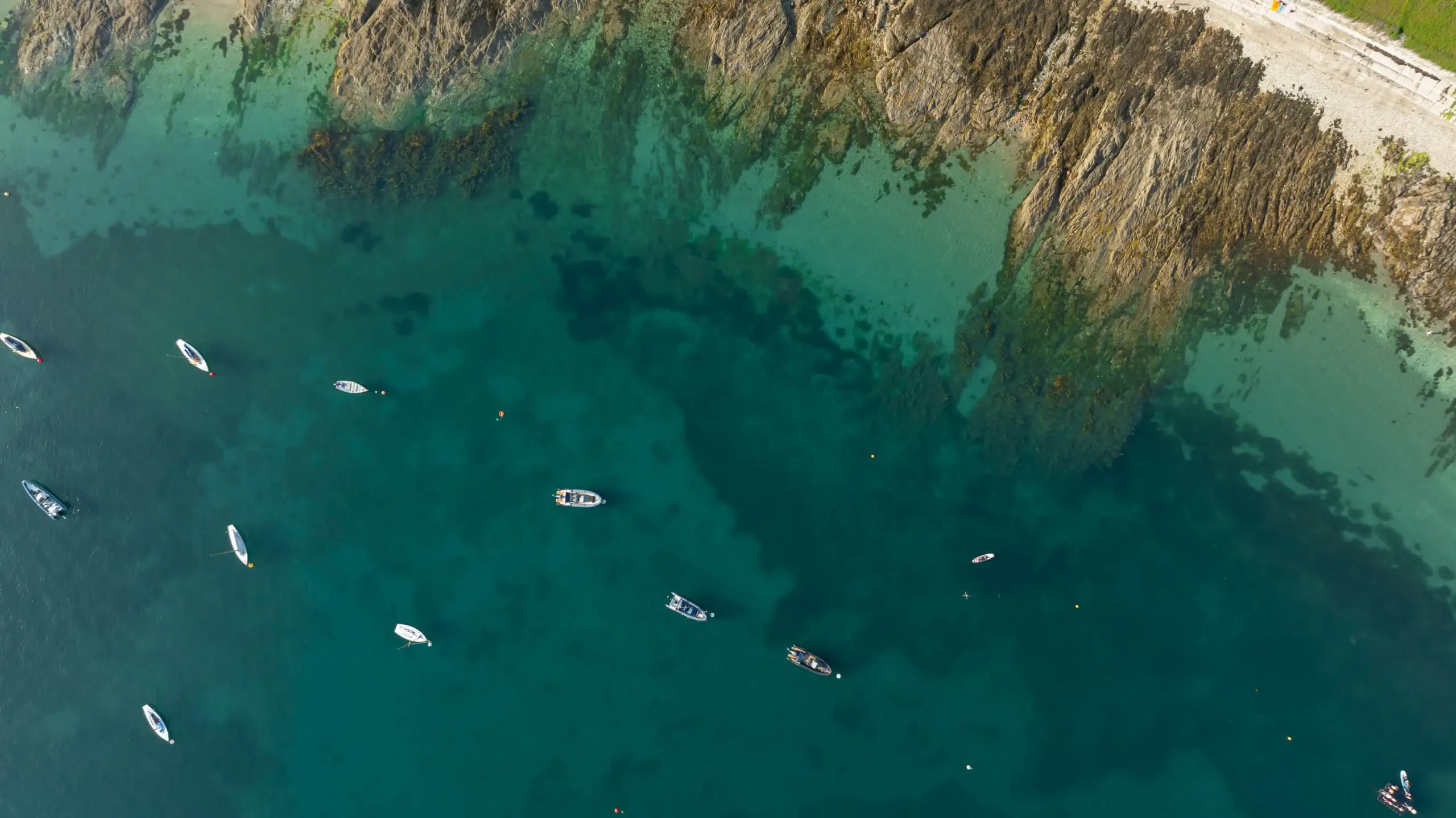 Featured image for the article: Elysium St Mawes