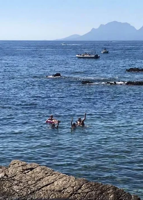 Family enjoying a swim in a serene rocky cove with distant mountains and clear blue skies.